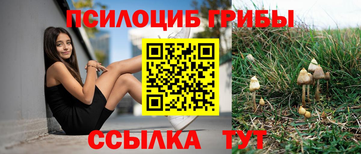 Галлюциногенные грибы Cubensis Назрань
