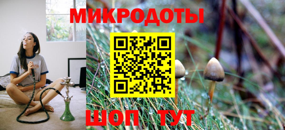 Псилоцибиновые грибы Cubensis  Вход с VPN  Назрань 